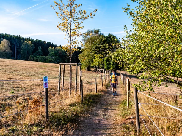 Sommerliche Wanderung entlang der Felder im Hochwald Großregion 2