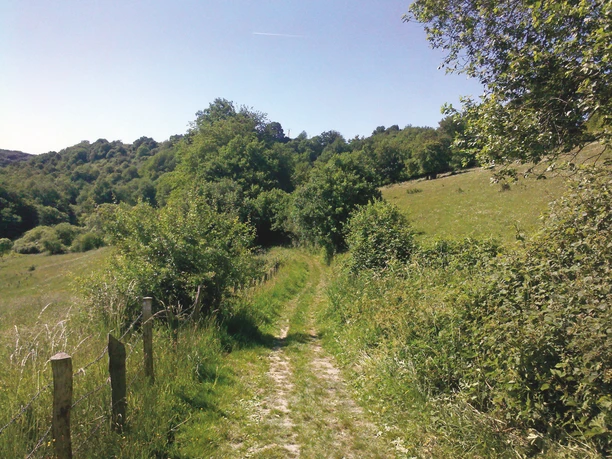 Unterwegs auf dem Burgweg