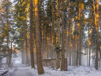 Winterweg auf dem Homberg