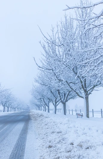 Winter auf dem Horben