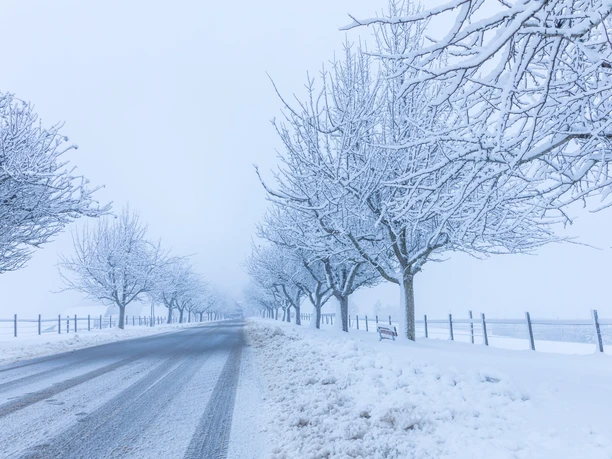 Winter auf dem Horben