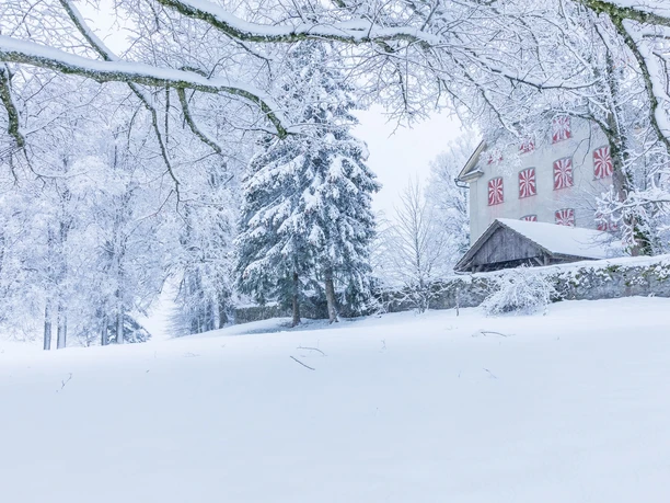 Schloss Horben im Winter