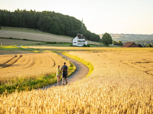 Bad Salzuflen Natur Hühnerwiem