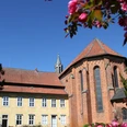 Kloster Mariensee Backsteinbau des Klosters Mariensee mit gelbem Konventgebäude, Garten und blühenden Zweigen im Vordergrund.