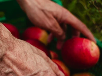 35.png Hof Eusterbrock