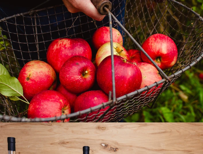 Produkte Hof Eusterbrock Story00005.png Apfelkorb und Produktangebot