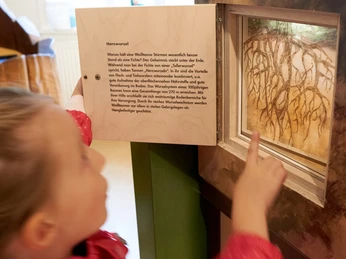 Beizehaus Nationalpark-Infostelle innen Mädchen zeigt auf ein Informationsbild in einer Ausstellung.