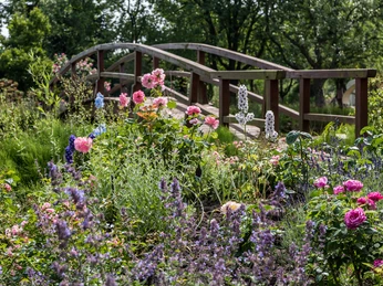 Ohliger, Westerstede