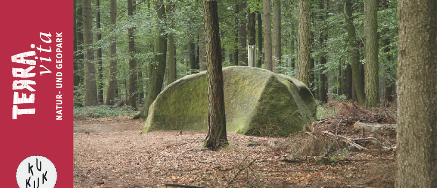 Steinernes Meer Belm-Steinernes Meer bei Belm