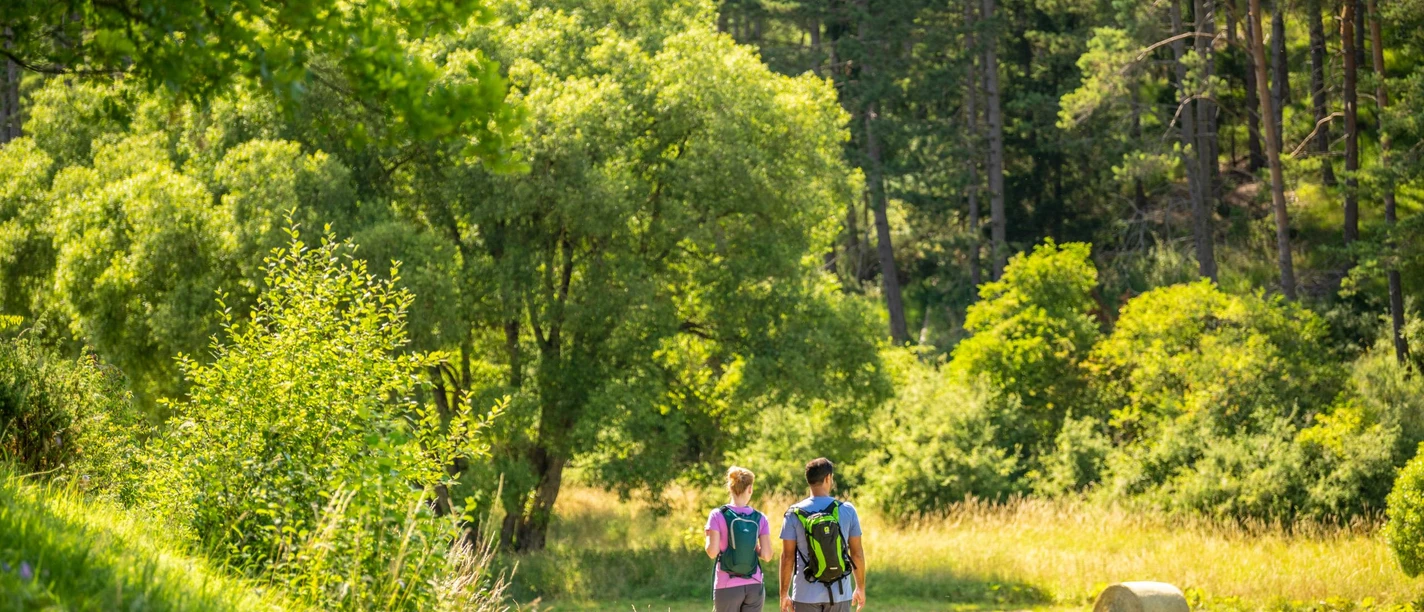 Wandern in der Nordeifel