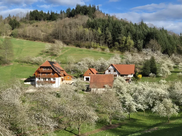 Hofansicht Frühling