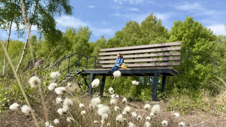 Provinzialmoor_XXL_Bank_moorlandschaffen_Naturpark_Moor_Veenland_VS4.JPEG.JPG