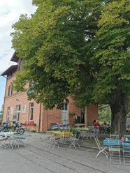 Café Schaffner Großer Baum mit Tischen vor rotem Haus. Gäste genießen Pausen im Freien.