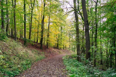 Terrainkurweg K2