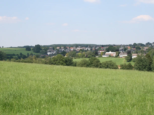 Landschaft - Blick vom Eicken Blick auf ein Dorf am Horizont. Im Vordergrund eine saftig grüne Wiese und Baumgruppen. Der Himmel ist hellblau mit wenigen weißen Wolken.
