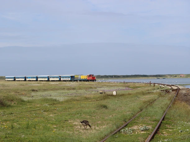Wangeroogeilandspoorweg.JPG De eilandspoorlijn loopt door de kwelders van Wangerooge.