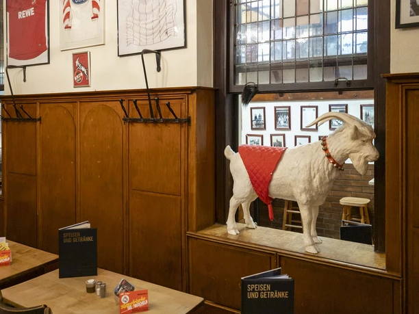 Weinhaus Vogel Holzgetäfelter Gaststubenbereich mit FC-Köln-Fanartikeln und einer Ziegenfigur im Fenster