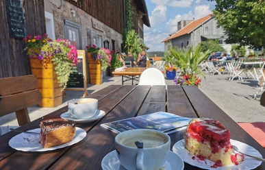 Museumscafe Kaffee und Kuchen stehen auf Holztisch. Bunte Blumen. Offener Hof lädt Besucher ein.