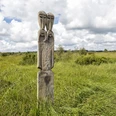 Ahlenmoor Totem Holzskulptur mit abstrakten Vogelfiguren im weiten, grünen Moor unter einem bewegten Wolkenhimmel.