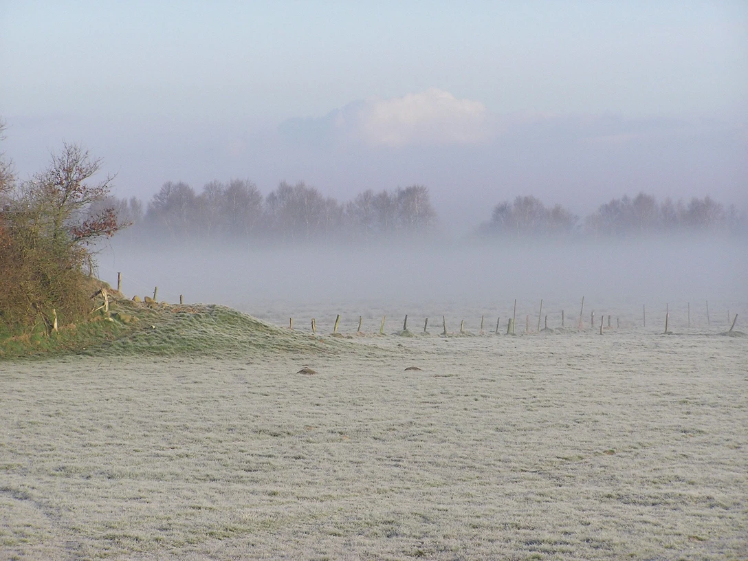 Ahlenmoor im Winter Wintermorgen im Ahlenmoor mit Raureif, Nebelschleiern und Blick auf karge Bäume in der Ferne.