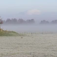 Ahlenmoor im Winter Wintermorgen im Ahlenmoor mit Raureif, Nebelschleiern und Blick auf karge Bäume in der Ferne.