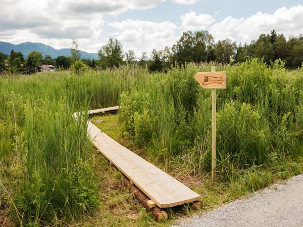 Themenweg - Barfußpfad - Soier See