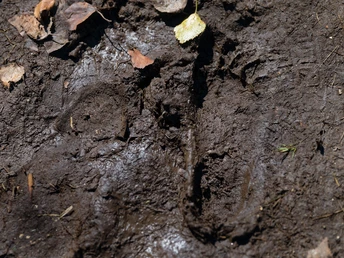 Barfußlehrpfad Bad Bayersoien
