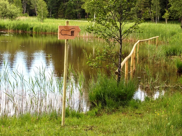 Themenweg - Barfußpfad - Soier See