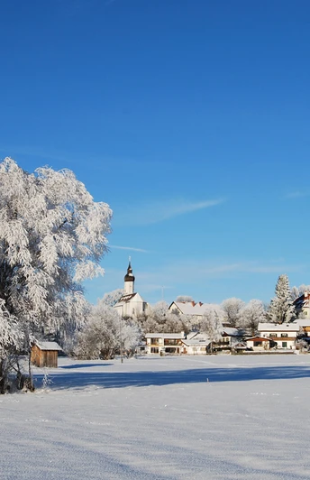 Winterwanderung - Soier See Rundweg