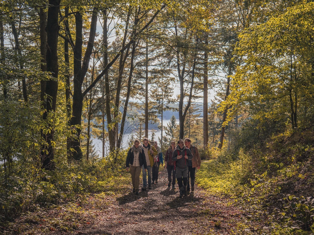 Bergische Wanderwochen Wandernde in einem Laubwald, dahinter glänzt ein See durch die Bäume.
