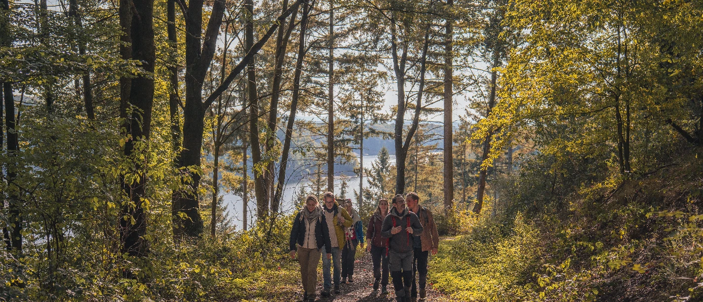Bergische Wanderwochen Wandernde in einem Laubwald, dahinter glänzt ein See durch die Bäume.
