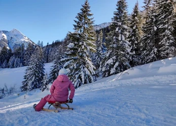 Rasante Schlittelfahrt bei der Gummenalp Wirzweli