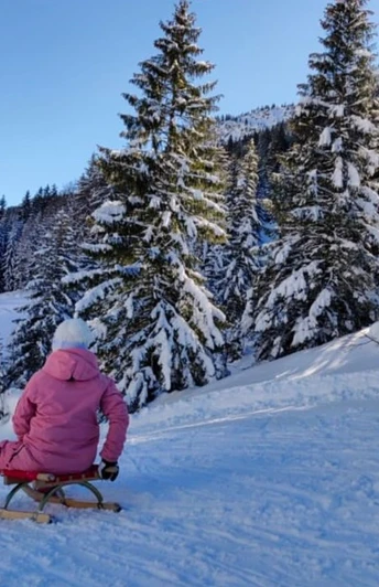 Rasante Schlittelfahrt bei der Gummenalp Wirzweli