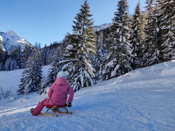 Rasante Schlittelfahrt bei der Gummenalp Wirzweli