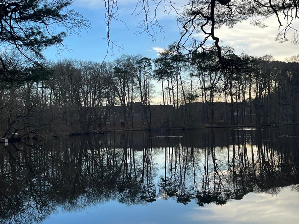 Mühlenteich in Varel