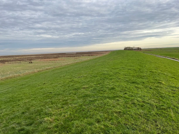 Wandern am Deich zwischen Varel und Dangast