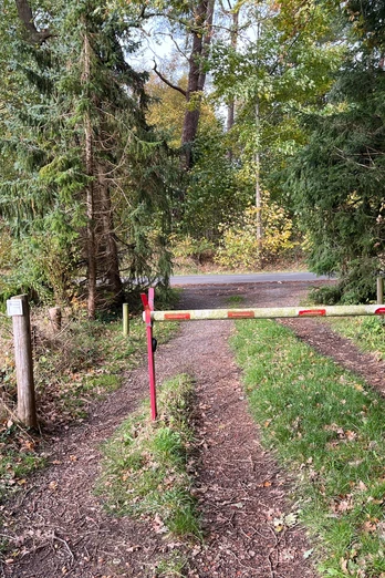 Richtung Wald am Airbus-Werk