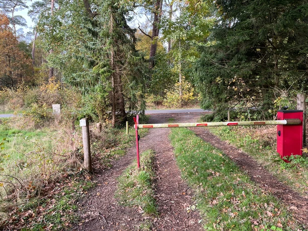 Richtung Wald am Airbus-Werk