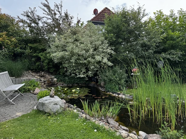 Blick auf Gartenteich.JPG Blick auf Gartenteich