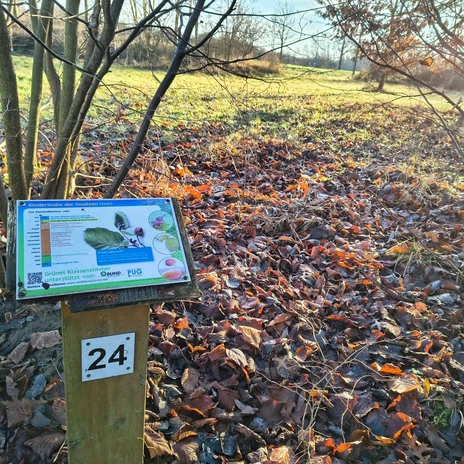 2.jpg Infotafel Nummer 24