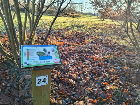 2.jpg Infotafel Nummer 24