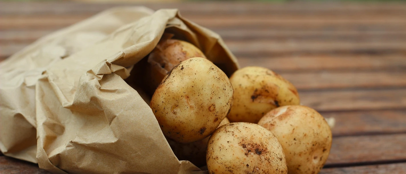 Kartoffeln | Beispielbild Kartoffeln | Beispielbild