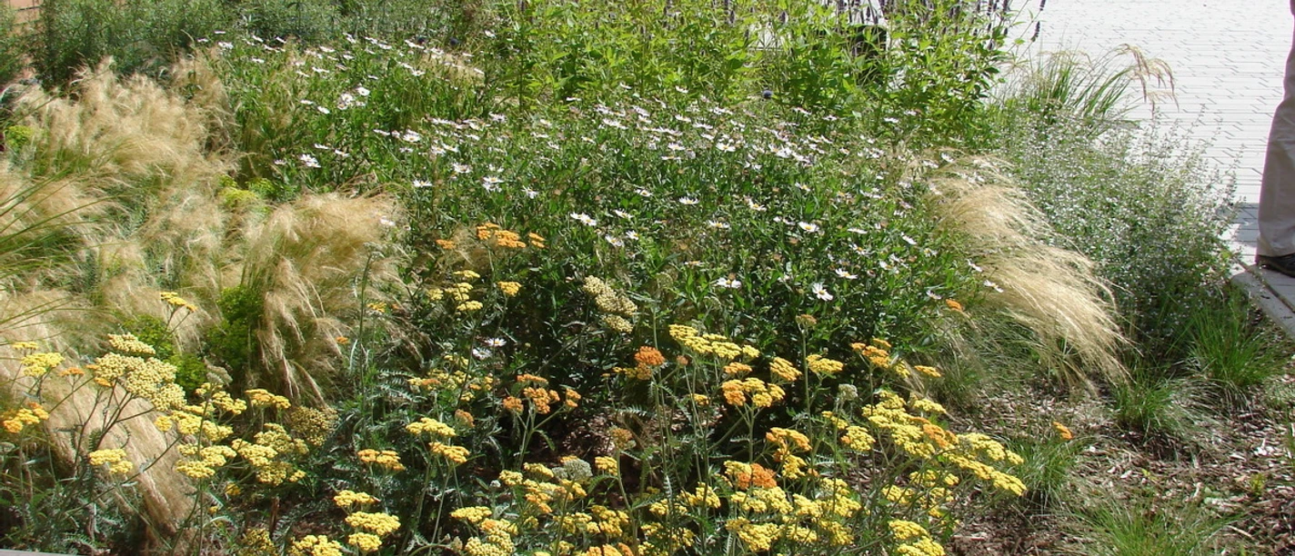 Offene_Pforte_Peine_LandkreisPeine.jpg