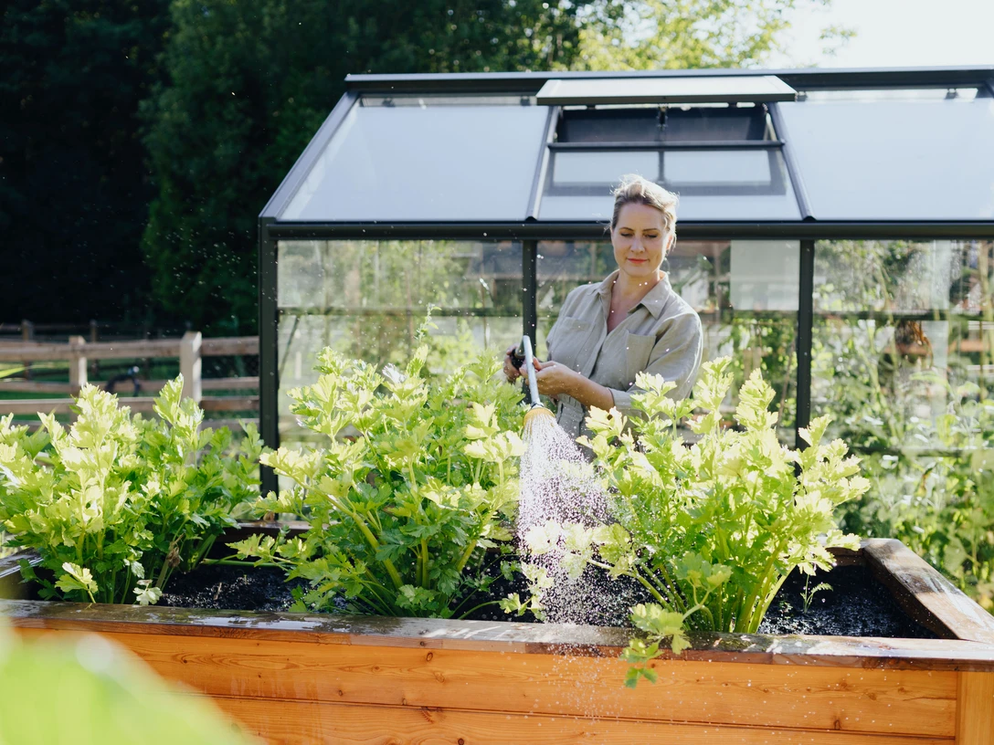 Judith Rakers Judith Rakers gießt grüne Gemüsepflanzen in einem Hochbeet vor einem modernen Gewächshaus.