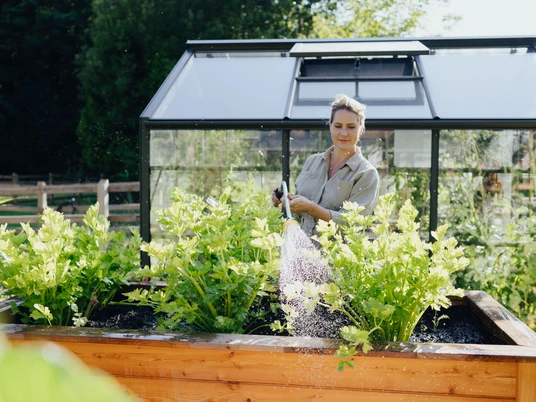 Judith Rakers Judith Rakers gießt grüne Gemüsepflanzen in einem Hochbeet vor einem modernen Gewächshaus.