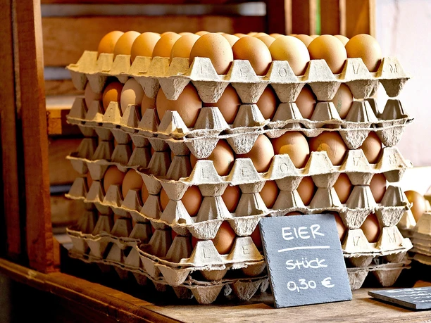 Eggs | sample image Eier | Beispielbild