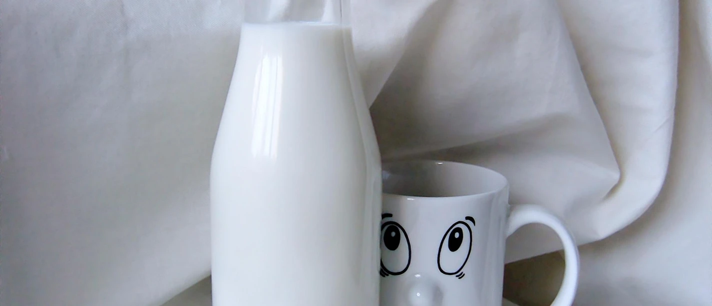 Milch | Beispielbild