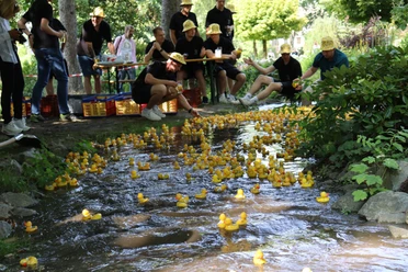 Zieleinlauf beim Willinger Entenrennen Zieleinlauf beim Willinger Entenrennen