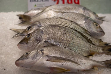 Fischverkauf | Beispielbild Fischverkauf | Beispielbild