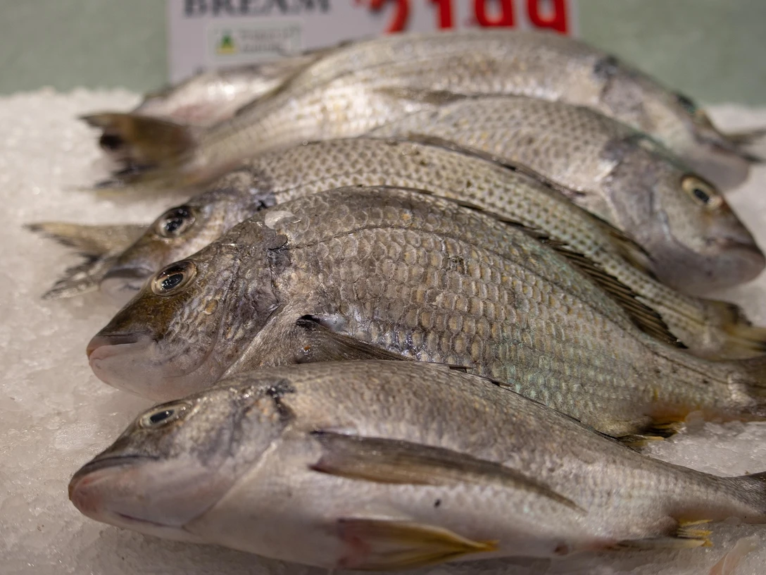 Fischverkauf | Beispielbild Fischverkauf | Beispielbild